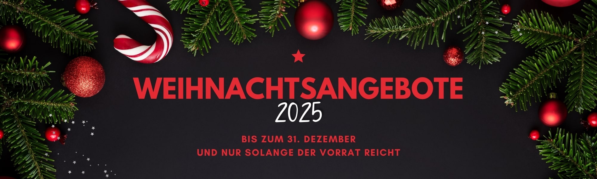 Weihnachtsangebote 2025